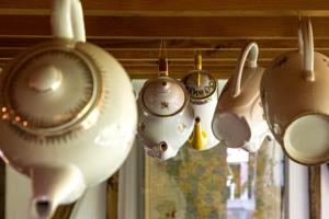 Hebergement Comme une parenthese au coeur des hortillonnages : photos des chambres