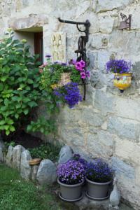 Chambres d'hotes/B&B Canigou Lodge : photos des chambres