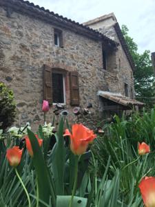 Hebergement Le Mas Sylva : photos des chambres