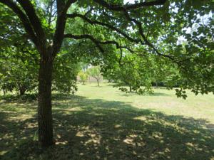 Hebergement Le Gres 313 : photos des chambres