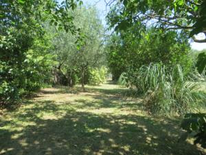 Hebergement Le Gres 313 : photos des chambres
