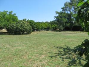 Hebergement Le Gres 313 : photos des chambres