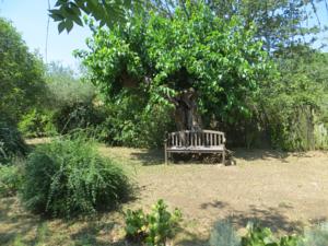 Hebergement Le Gres 313 : photos des chambres