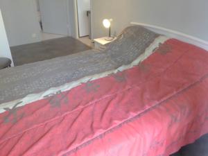 Appartement Apartment Le Sporting.7 : photos des chambres