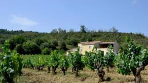 Hebergement Gite Vigneron du Domaine d'Alon : photos des chambres