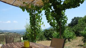 Hebergement Gite Vigneron du Domaine d'Alon : photos des chambres
