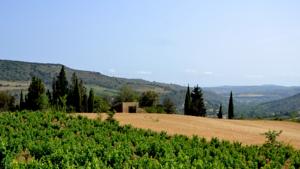 Hebergement Gite Vigneron du Domaine d'Alon : photos des chambres