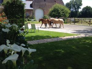 Hebergement Le Petit Gite : Gîte (3 Adultes)