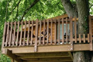 Chambres d'hotes/B&B Les Cabanes de Gros Bois : photos des chambres