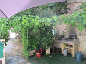 Hebergement La Maison des vendangeurs : photos des chambres