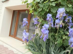 Appartement Gite entre sources et riviere : photos des chambres