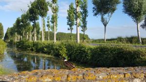 Hebergement Vacation Home on Rue du Marais 5 : photos des chambres