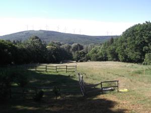 Hebergement Gite rural, relais equestre Le Tulipier : photos des chambres