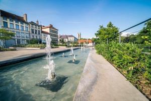 Appartement Le Vieux Troyes : photos des chambres
