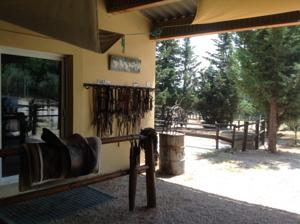 Hebergement Mas Baumelle : photos des chambres