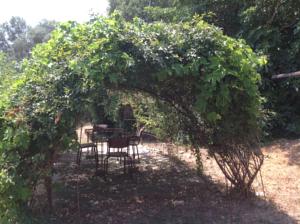 Hebergement Mas Baumelle : photos des chambres