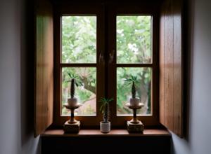 Hebergement Comme une parenthese au coeur des hortillonnages : photos des chambres
