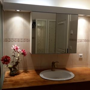 Chambres d'hotes/B&B Gite B&B - Haute Savoie - Chez Louise : photos des chambres