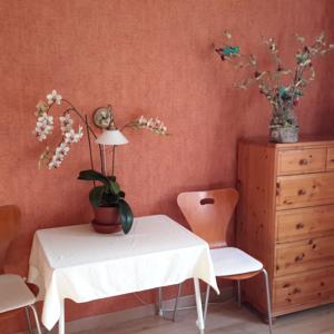 Chambres d'hotes/B&B Gite B&B - Haute Savoie - Chez Louise : photos des chambres