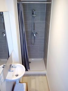 Appartement Studio Vent - ANNECY DREAM : photos des chambres