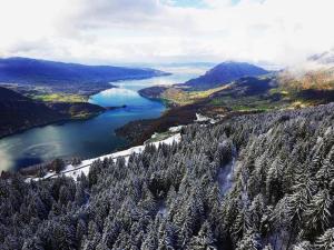 Appartement Studio Eau - ANNECY DREAM : photos des chambres