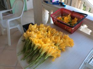 Appartement Villa les oliviers : photos des chambres