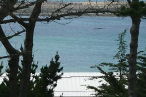 Hebergement Residence Saint-Yves : Appartement 1 Chambre - Vue sur Mer