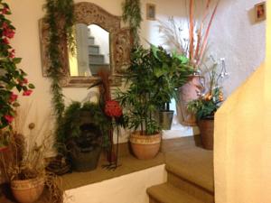 Hebergement Le Cosy Elne : photos des chambres