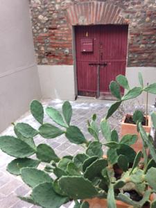 Hebergement Le Cosy Elne : photos des chambres