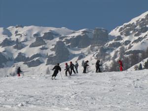 Hebergement Chalets Shangrila : photos des chambres