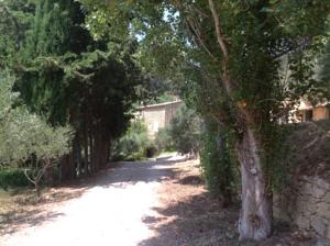 Hebergement Mas Baumelle : photos des chambres