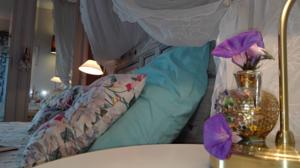 Chambres d'hotes/B&B L'Ile aux Mimosas : photos des chambres