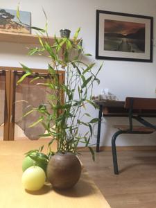 Chambres d'hotes/B&B Le Chat Blanc : Chambre Familiale avec Salle de Bains Privative