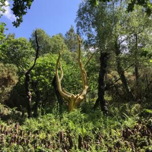 Hebergement L'Hotie de Broceliande : photos des chambres
