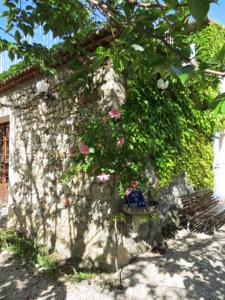 Chambres d'hotes/B&B Le Jardin : Chambre Double - Vue sur Jardin