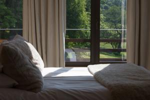 Hotel Domaine des Avenieres : Suite Excellence - Dépendance 