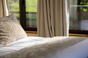 Hotel Domaine des Avenieres : photos des chambres
