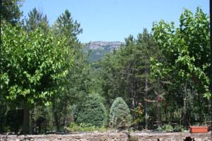 Chambres d'hotes/B&B Les Rochers : photos des chambres