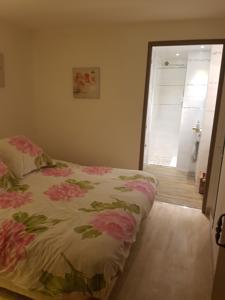 Appartement vue sur la cathedrale d'uzes : photos des chambres
