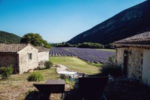 Chambres d'hotes/B&B Mas De La Lance : Chambre Double - Vue sur Montagne