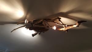 Appartement Ribeil : photos des chambres