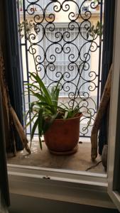Appartement Ribeil : photos des chambres