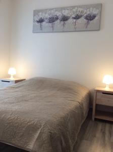 Appartement de la Rose : Appartement