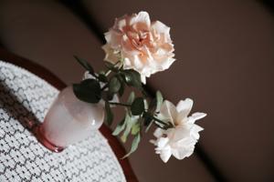 Hebergement Le Manoir de Marie-Lou : photos des chambres