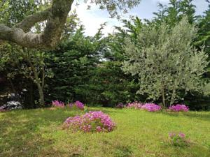 Hebergement L Oliveraie : photos des chambres