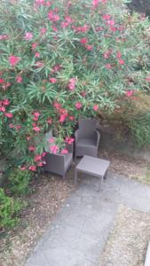 Chambres d'hotes/B&B Suite parentale : photos des chambres
