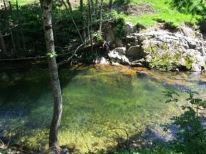 Hebergement le Moulinage Chabriol : photos des chambres