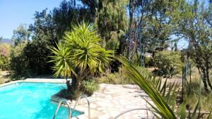 Hebergement Mas Montebello : photos des chambres