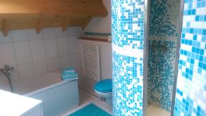 Chambres d'hotes/B&B Le Chalet Champenois : photos des chambres