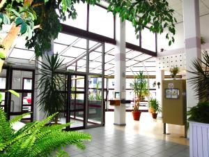 Appartement Studio vue sur mer : photos des chambres